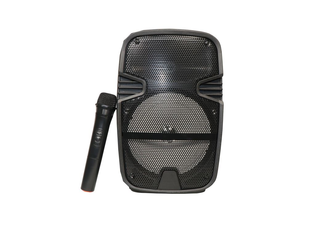 BLUETOOTH SPEAKER