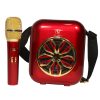 KARAOKE SPEAKER WITH WIRE MIC (T-2317A)
