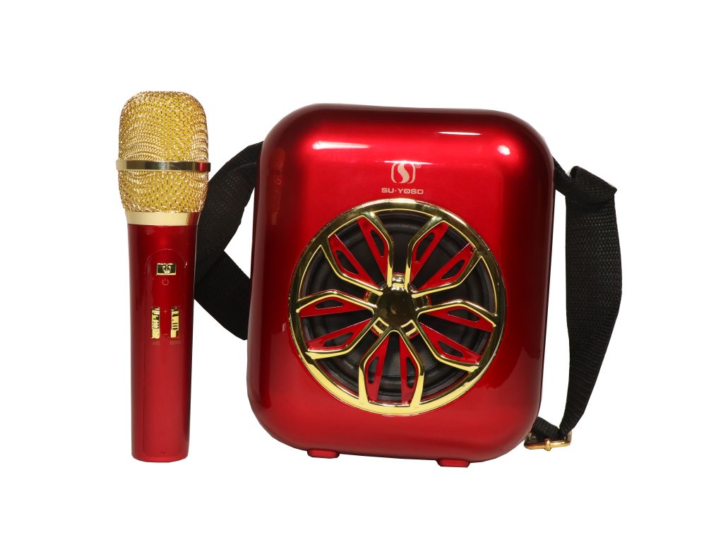 KARAOKE SPEAKER WITH WIRE MIC (T-2317A)